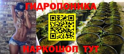 PSILOCYBIN Северобайкальск