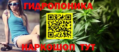 PSILOCYBIN Северобайкальск