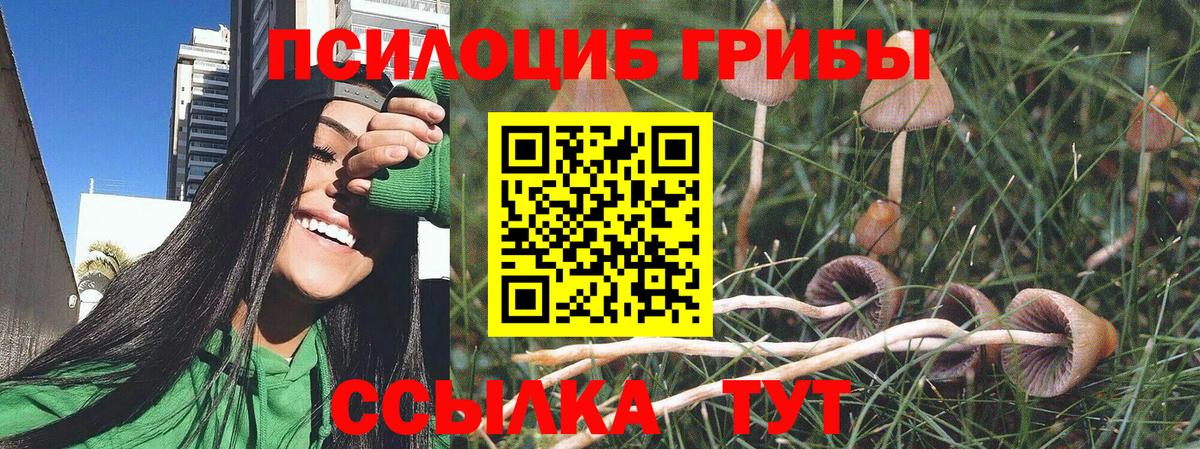 Галлюциногенные грибы MAGIC MUSHROOMS Моздок