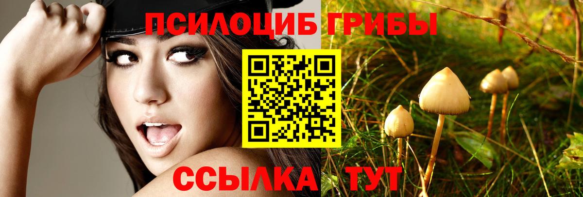 Псилоцибиновые грибы мицелий  Псилоцибиновые грибы Psilocybe  Вход с VPN  Моздок 